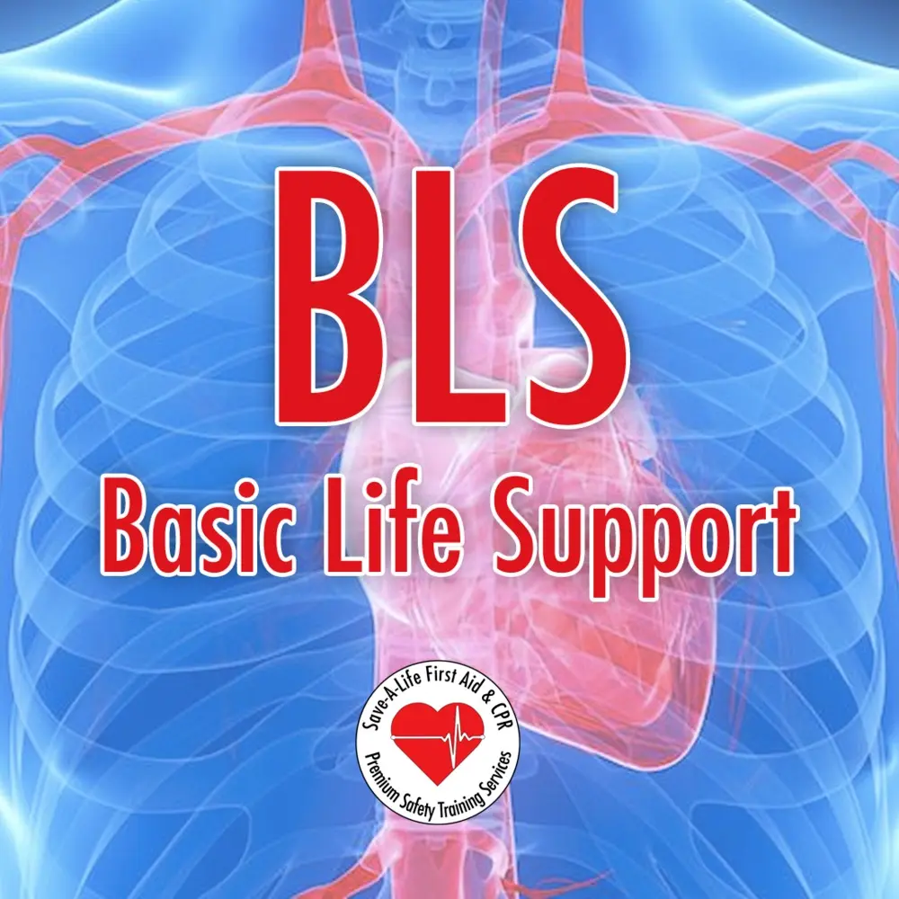 BLS Course In Kottayam, Kerala | IIEMS